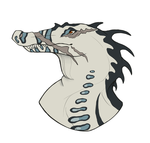 IMG 1236.png