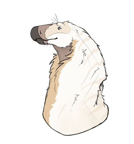 IMG 1235.png