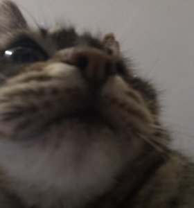 1000009430.jpg