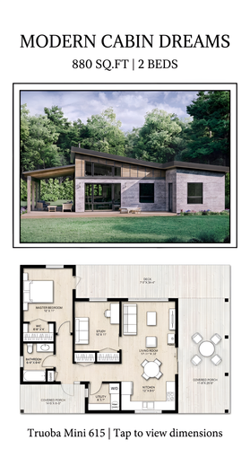 Modern cabin dreams floor plan 202607292337 x4.png