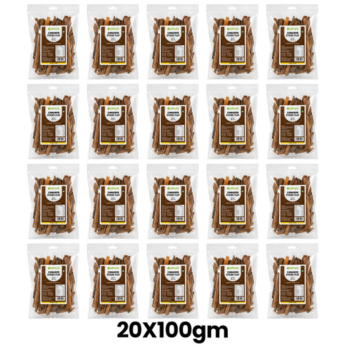 1st.jpg