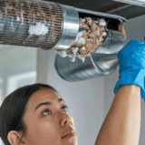 California Local Dryer Vent Cleaning You Can Trust Today.gif