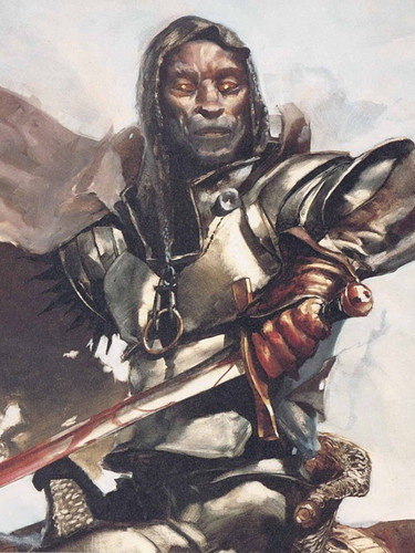 fires of dis paladin.jpg