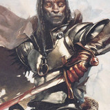 fires of dis paladin