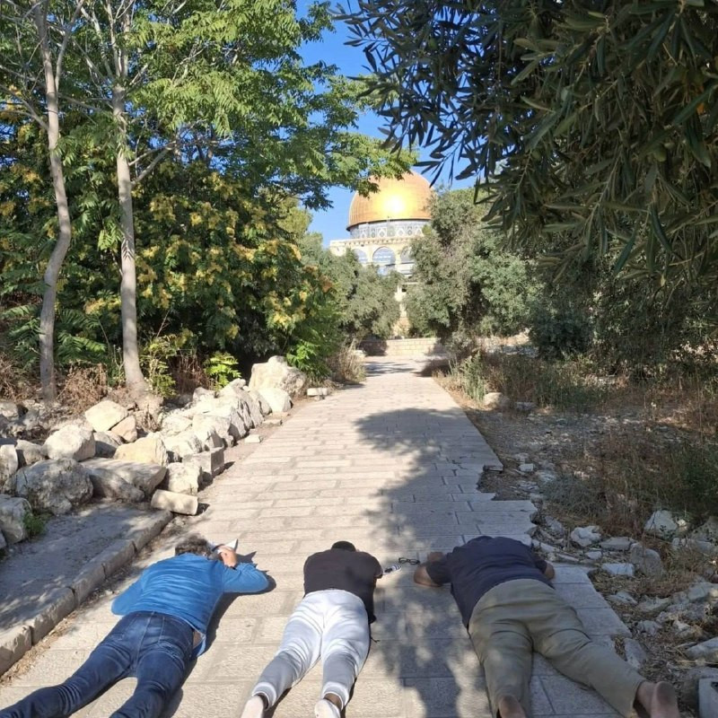 صورة الخبر
