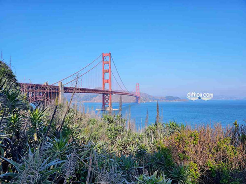sfo 2.jpg