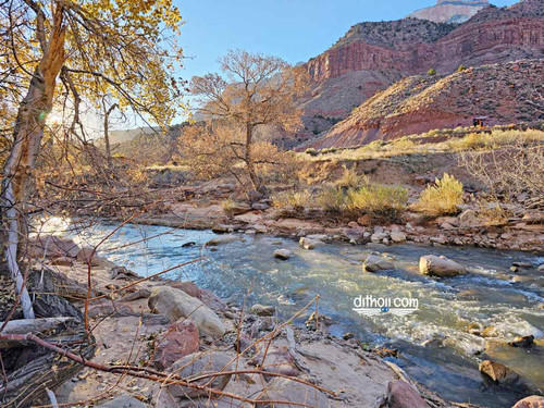 zion 2.jpg