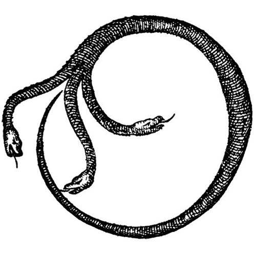 pdart pv snake.jpg