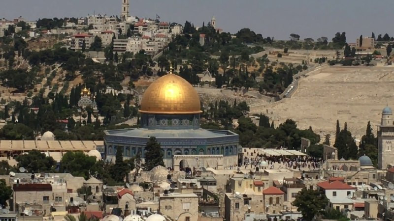 صورة الخبر