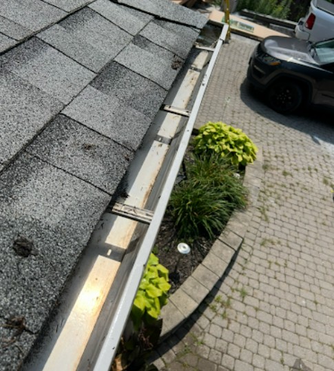 Best Service For Gutter Cleaning in Duffins Bay.jpg
