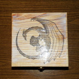 box step 5 glue