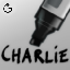 nylnook charlie brush.png