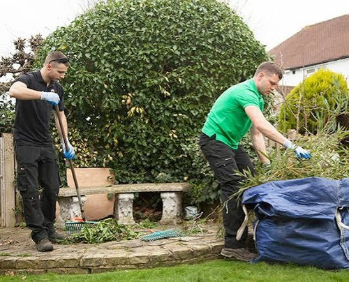 Best service for Garden Clearance in South Leaze.jpg