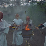 hawk druids