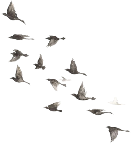 1000071909.png