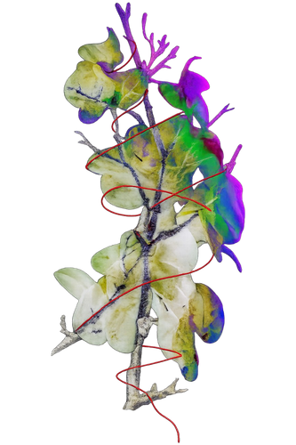 ChatGPT Image 2026年8月4日 16 54 41 (1).png
