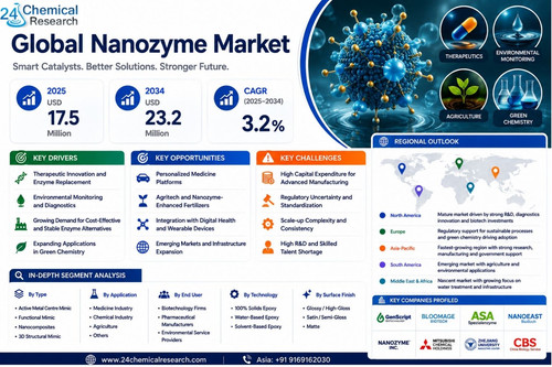 Nanozyme Market.jpg
