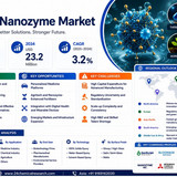 Nanozyme Market