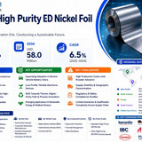 High Purity ED Nickel Foil Market
