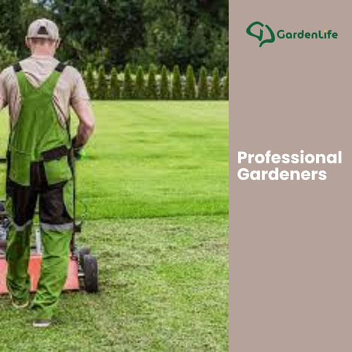 Professional Gardeners: Expert Care for Every Landscape.jpg