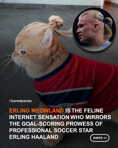 swipe to read.jpg