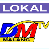 DM TV