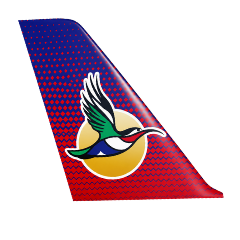 Airlink.png