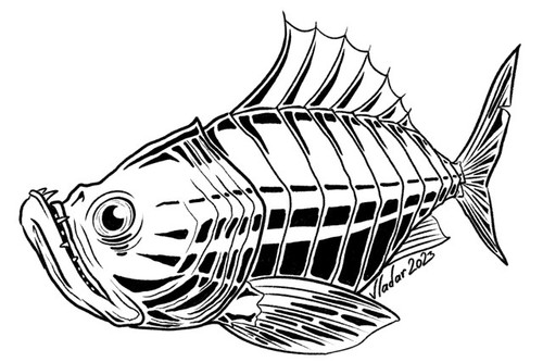 2023 01 28 steel snapper