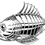 2023 01 28 steel snapper