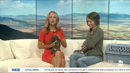 07.24 16.00.00 FOX13 News Good Day Utah 9AM ᴺᵉʷ. Utah news, wea....ts snapshot 00.56.12.261.jpg