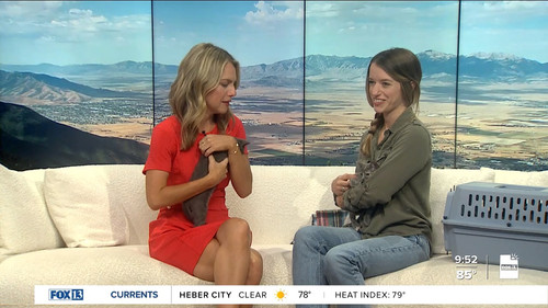 07.24 16.00.00 FOX13 News Good Day Utah 9AM ᴺᵉʷ. Utah news, wea....ts snapshot 00.53.29.087