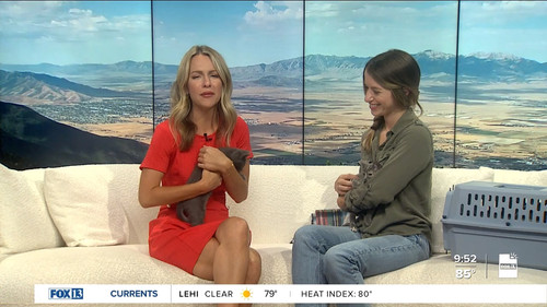 07.24 16.00.00 FOX13 News Good Day Utah 9AM ᴺᵉʷ. Utah news, wea....ts snapshot 00.53.31.950