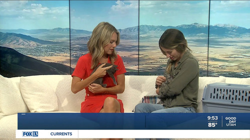 07.24 16.00.00 FOX13 News Good Day Utah 9AM ᴺᵉʷ. Utah news, wea....ts snapshot 00.53.57.714