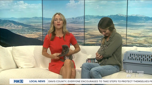 07.24 16.00.00 FOX13 News Good Day Utah 9AM ᴺᵉʷ. Utah news, wea....ts snapshot 00.56.15.124