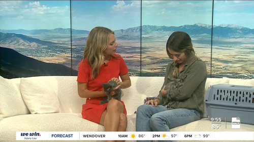 07.24 16.00.00 FOX13 News Good Day Utah 9AM ᴺᵉʷ. Utah news, wea....ts snapshot 00.56.00.811