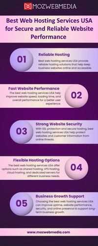Best Web Hosting Services USA for Secure and Reliable Website Performance.jpg