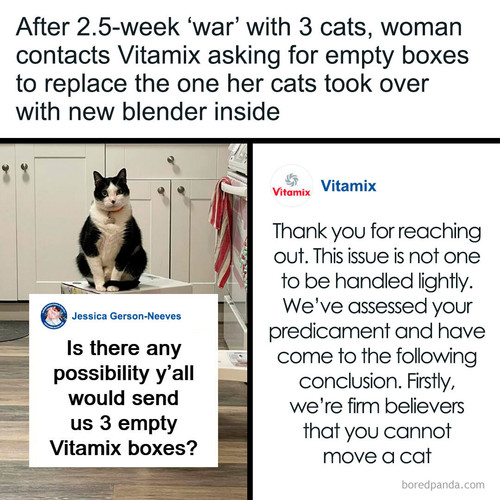 vitamix cats box.jpg