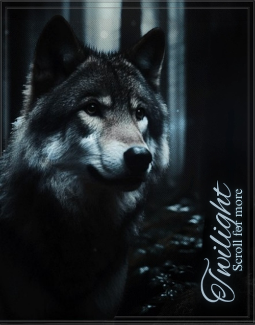 Twilight 20260716 101241 0000.png