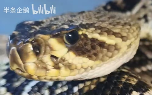 IMG 6529.png
