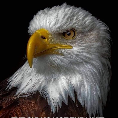 freedompersonalfinance.jpg