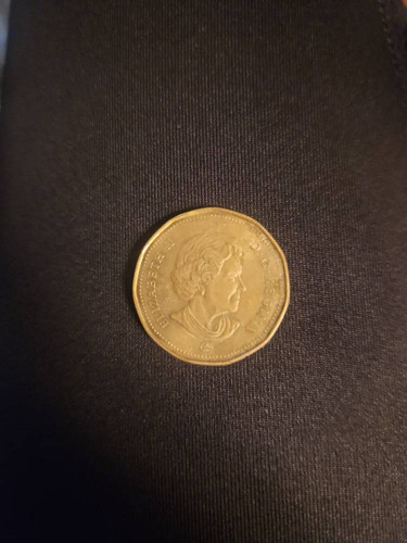 5fd74e68072d.jpg