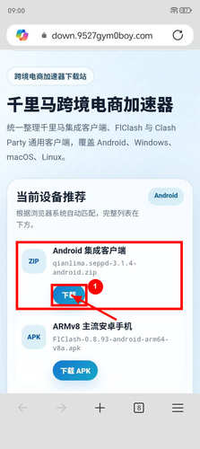 02 download page marked.png