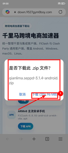 03 confirm download marked.png