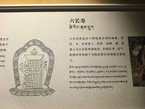 IMG 20260716 120018.jpg