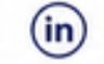 icon linkedin.png