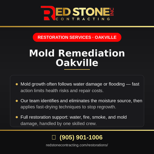 02 mold remediation oakville.png
