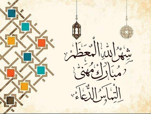 4a80c43c45fb.jpg