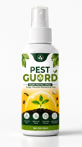 c4b50484b55f.png