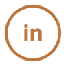 icon linkedin.png