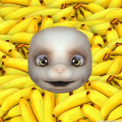 banana head.jpg